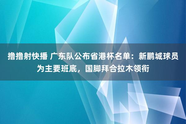 撸撸射快播 广东队公布省港杯名单：新鹏城球员为主要班底，国脚拜合拉木领衔