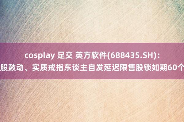 cosplay 足交 英方软件(688435.SH)：控股鼓动、实质戒指东谈主自发延迟限售股锁如期60个月