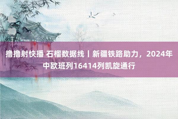 撸撸射快播 石榴数据线丨新疆铁路助力，2024年中欧班列16414列凯旋通行