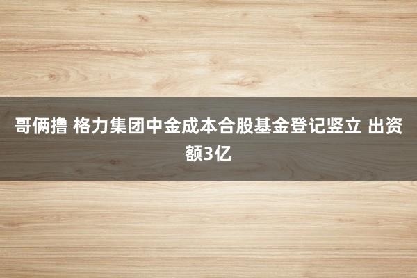 哥俩撸 格力集团中金成本合股基金登记竖立 出资额3亿