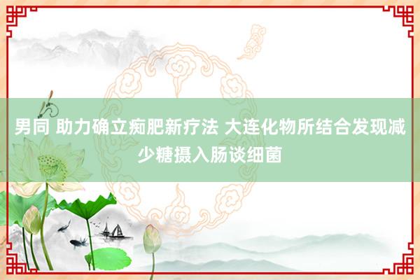 男同 助力确立痴肥新疗法 大连化物所结合发现减少糖摄入肠谈细菌