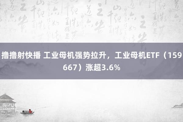 撸撸射快播 工业母机强势拉升，工业母机ETF（159667）涨超3.6%