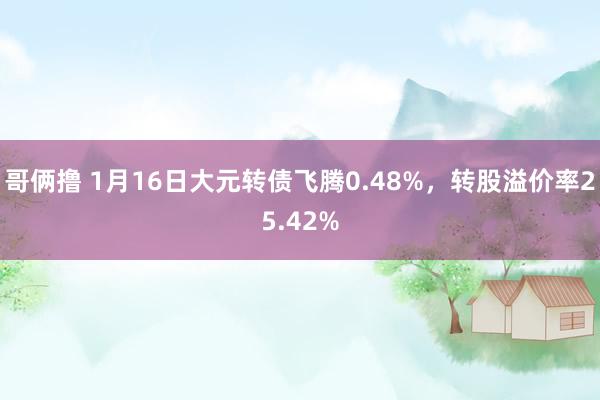 哥俩撸 1月16日大元转债飞腾0.48%，转股溢价率25.42%