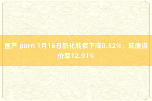 国产 porn 1月16日新化转债下降0.52%，转股溢价率12.91%