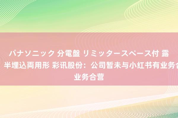 パナソニック 分電盤 リミッタースペース付 露出・半埋込両用形 彩讯股份：公司暂未与小红书有业务合营