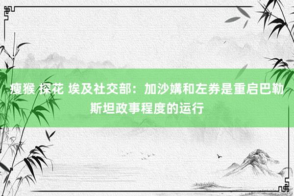 瘦猴 探花 埃及社交部：加沙媾和左券是重启巴勒斯坦政事程度的运行