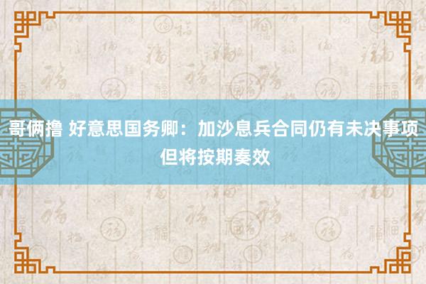 哥俩撸 好意思国务卿：加沙息兵合同仍有未决事项 但将按期奏效