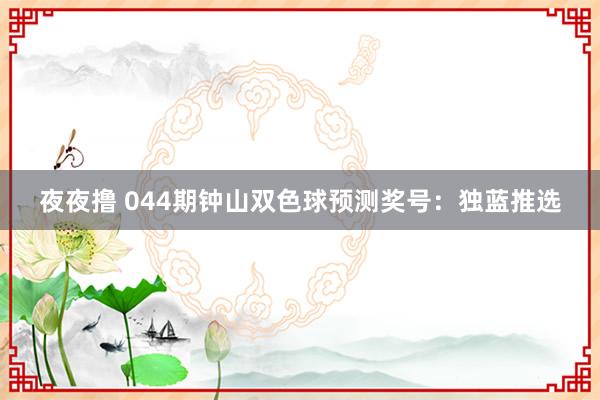 夜夜撸 044期钟山双色球预测奖号：独蓝推选